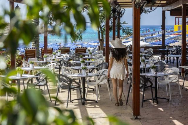 pavlo napa restaurants (6)