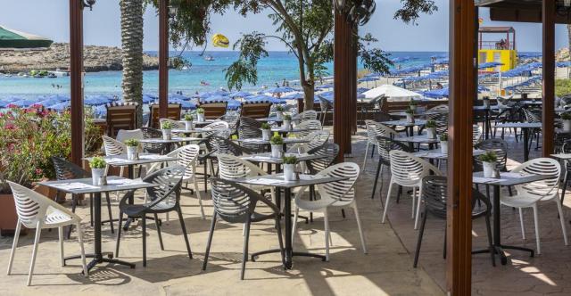 pavlo napa restaurants (7)