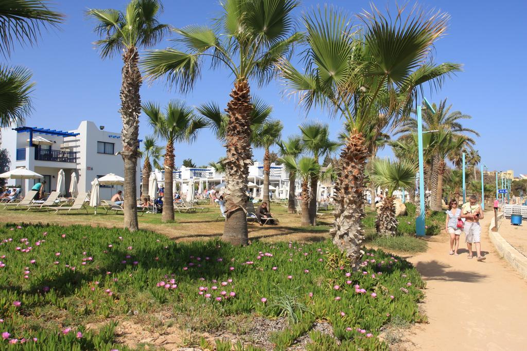 calisto holiday village (3)