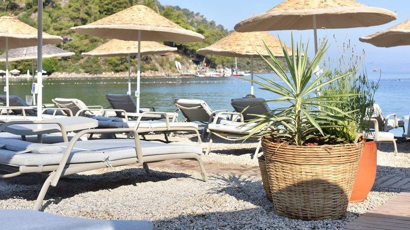 main-beach-4