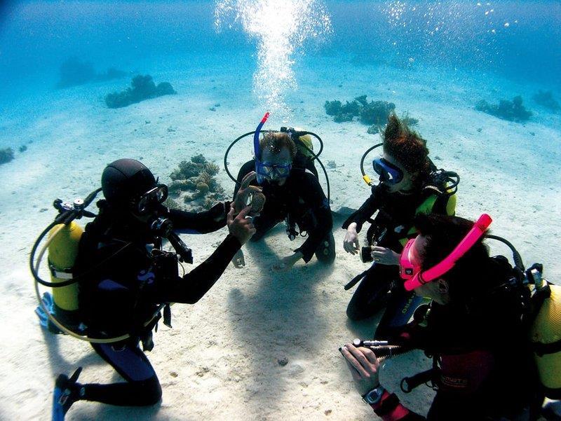 underwater-world