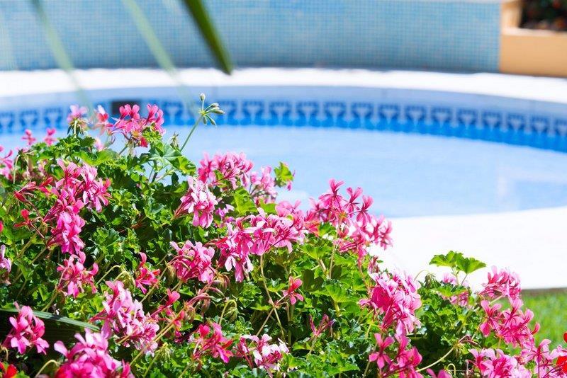 50_Pool1