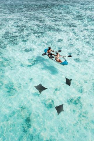 Raffles Maldives (10)