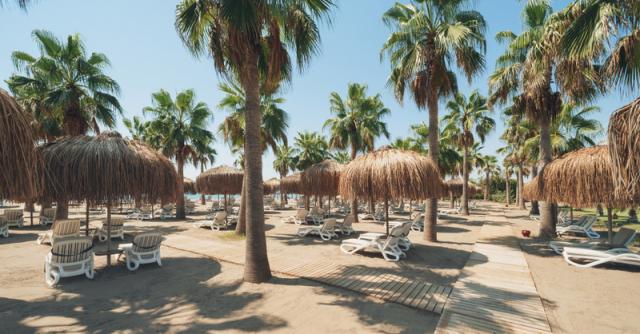 Beach_Area1
