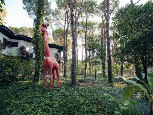 Bungalow_Area5