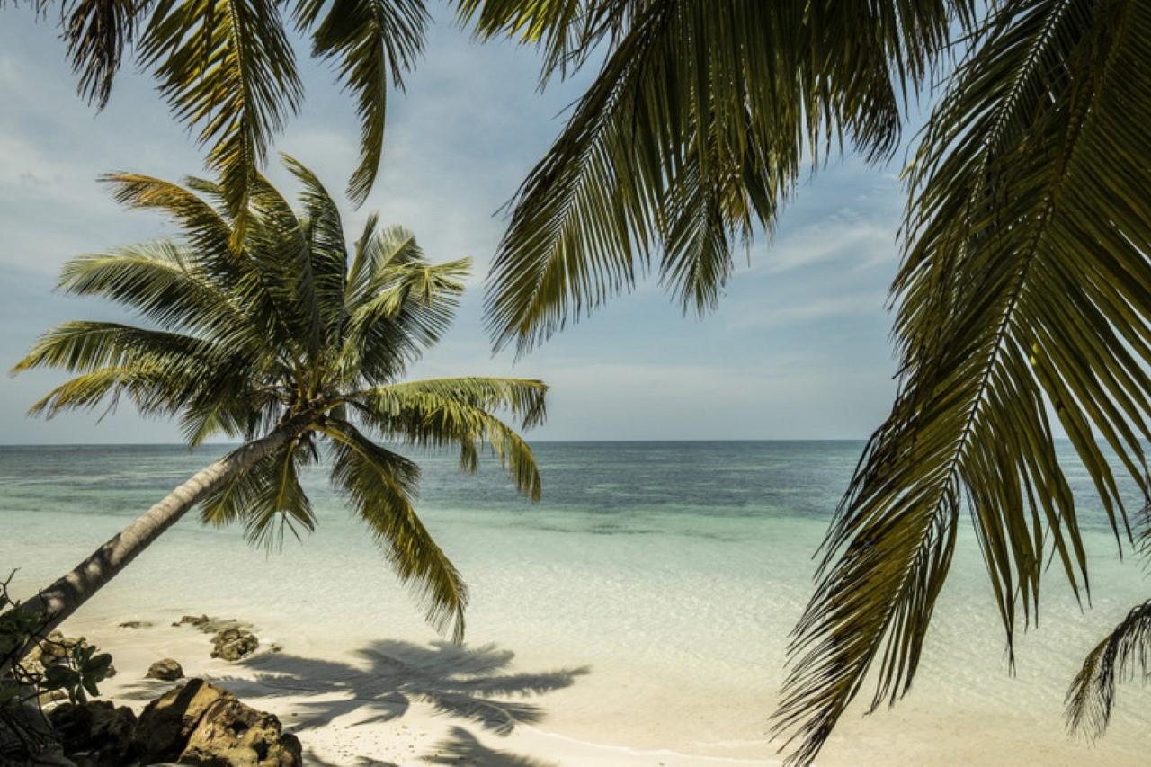 Seychelles at Desroches Island 2 (3)