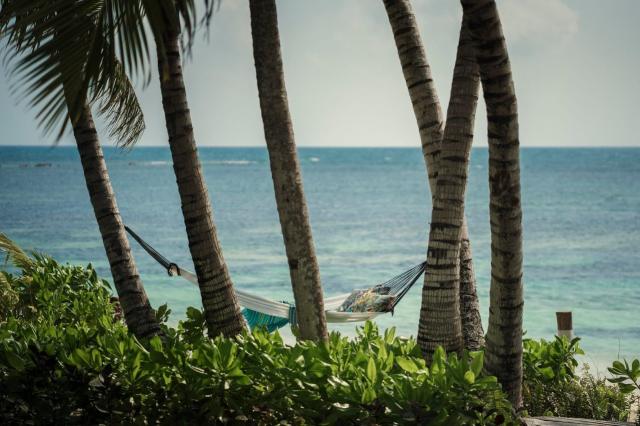 Seychelles at Desroches Island 2 (5)