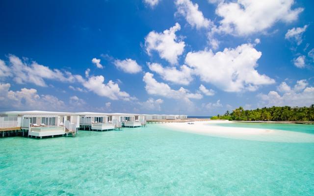 Amilla Maldives 9-ocean reef (1)