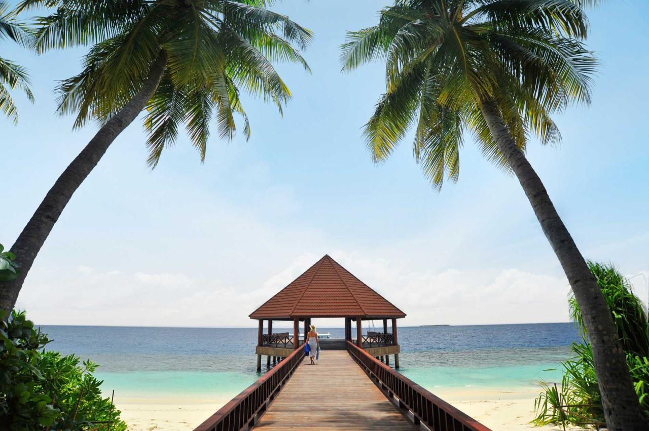 Robinson Club (60)