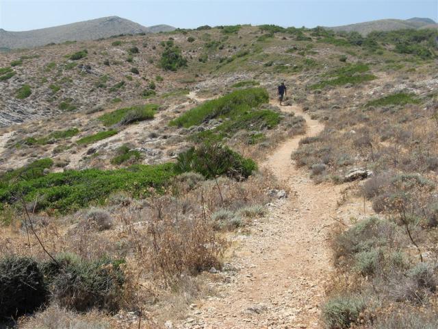 Jaro na Mallorce 9