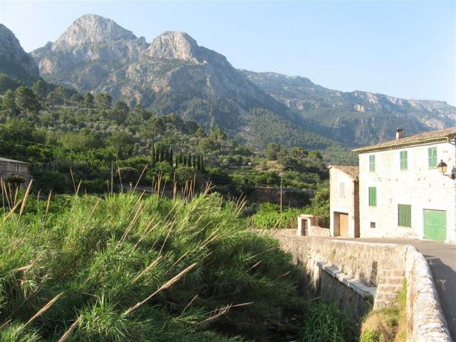 Jaro na Mallorce 3