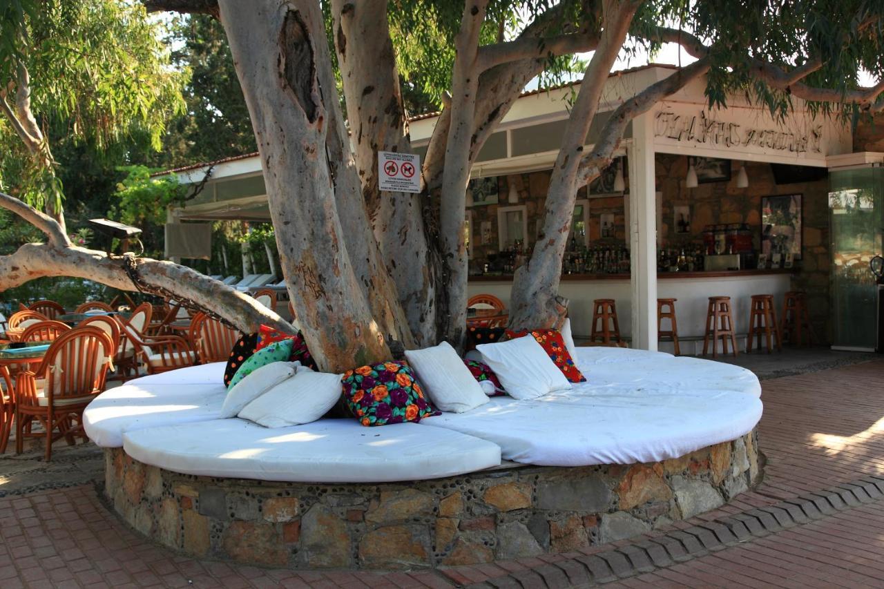 Okaliptus Hotel Bodrum (6)
