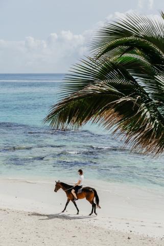 SALT of Palmar 3 (4)