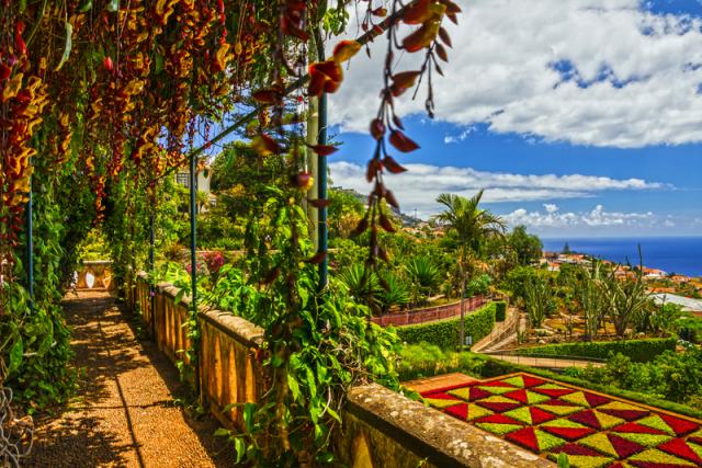 Funchal shutterstock_419493172