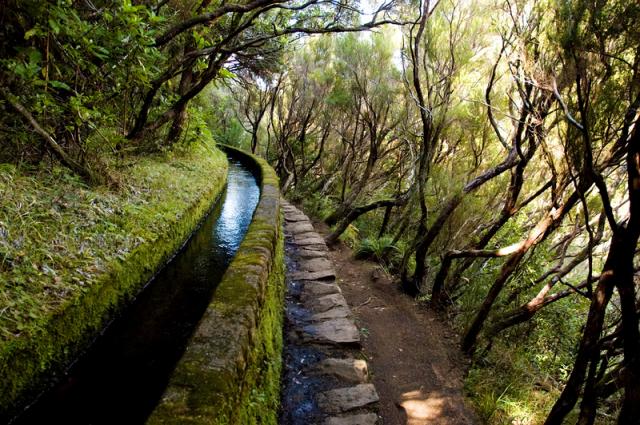 Madeira_2013_Levada_02_46802