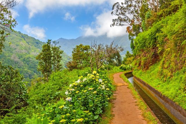 Levada shutterstock_341187890