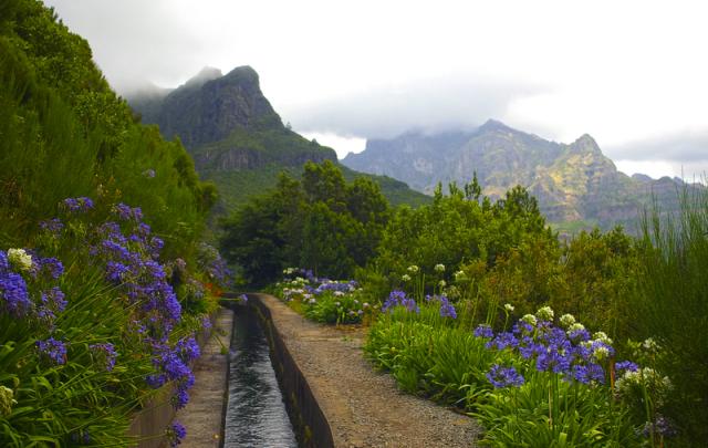 Madeira_2013_Levada_01_46801