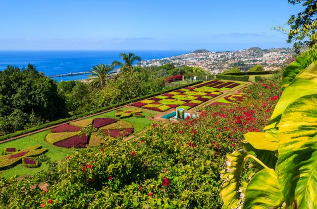 Madeira_2013_Tropicka_Monte_01_46804