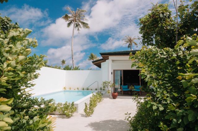 Joy Island 11-BS (1)