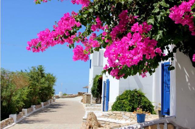 Skala Hotel009
