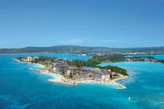 Secrets Wild Orchid