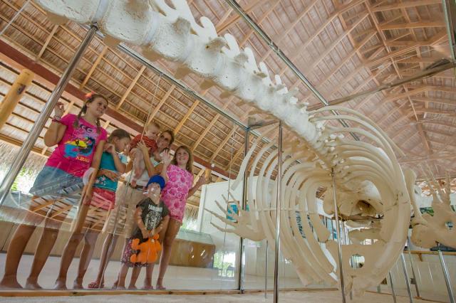Kuramathi Island fac1 (6)