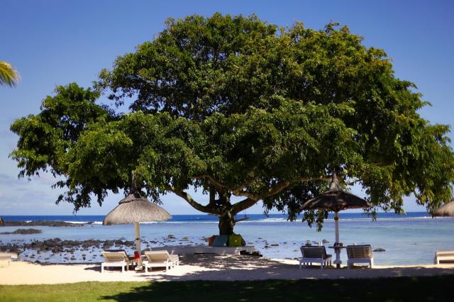 Shanti Maurice Resort 2 (3)