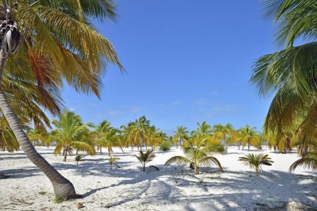 Memories Cayo Largo 3 (6)