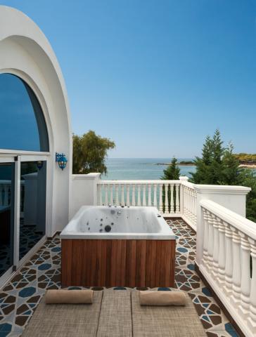 Platinum Villa Suite Terrace and Jacuzzi