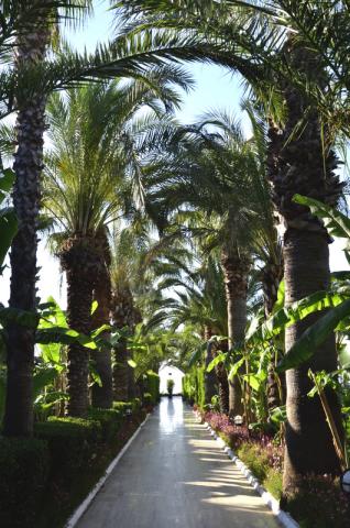 GARDEN 2.JPG