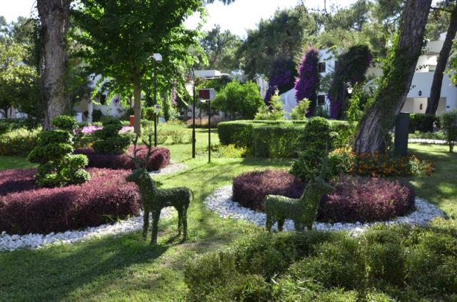 GARDEN 5.JPG