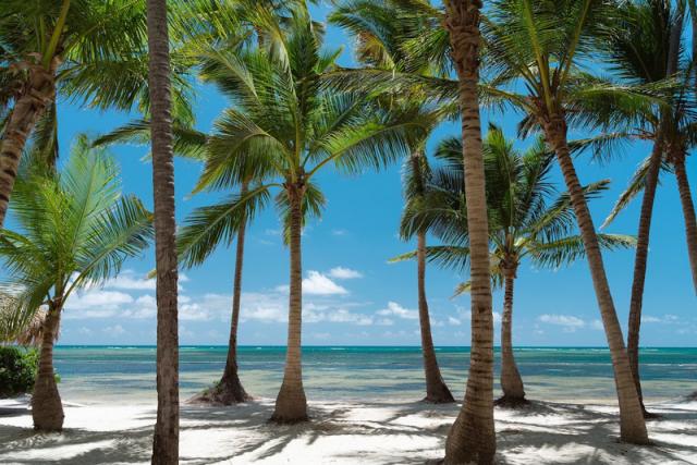 Catalonia Bavaro Royal (62)