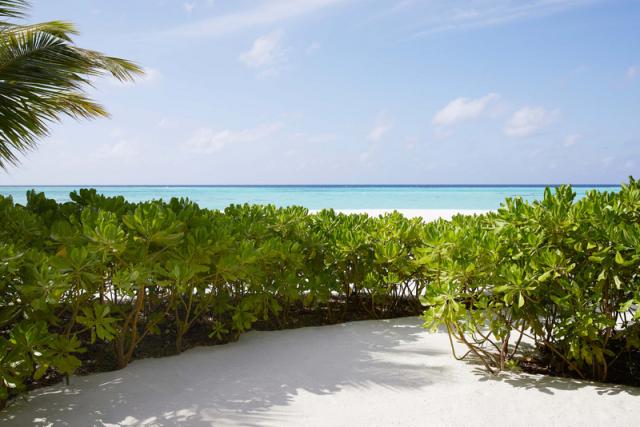 Beach Villa_Detail