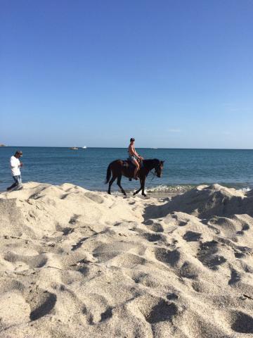 Royal Decameron jízda na koni