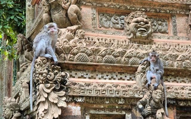 BS-Bali (10)