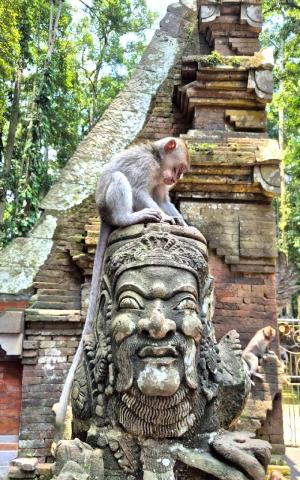 BS-Bali (11)