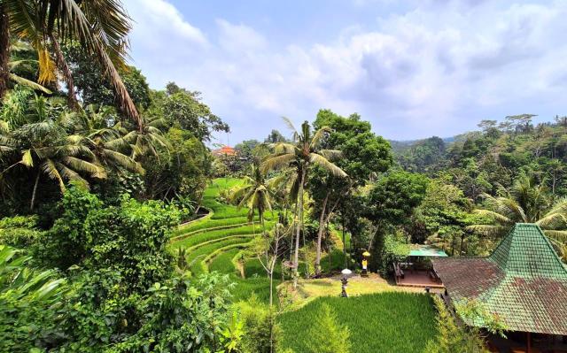 BS-Bali (15)