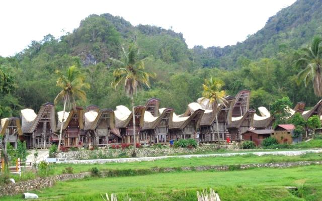 BS-Sulawesi (3)