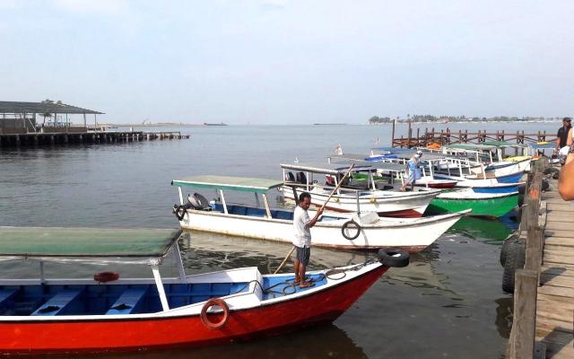 BS-Sulawesi (15)