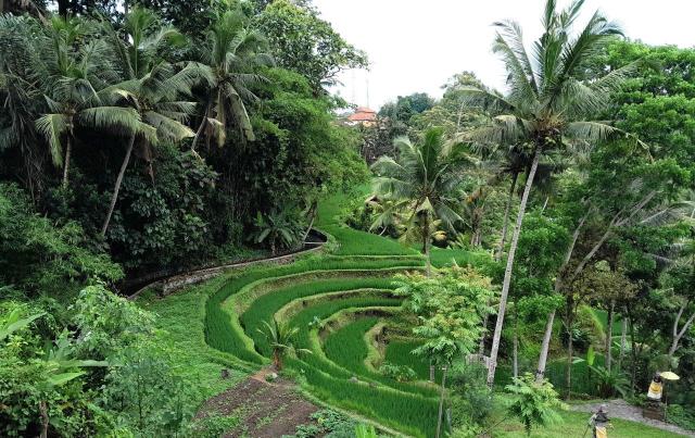 Bali 01