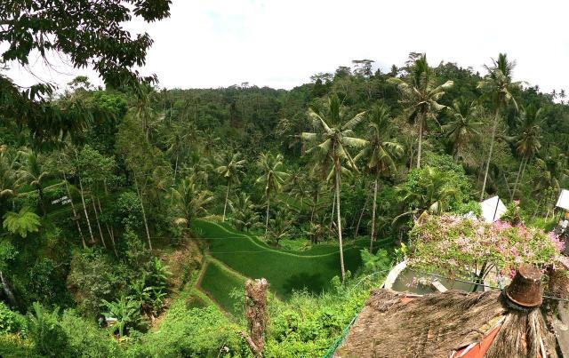 Bali 03