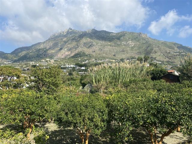 Ischia 17