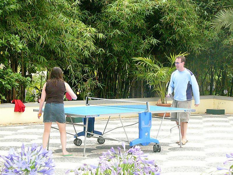 12-table-tennis