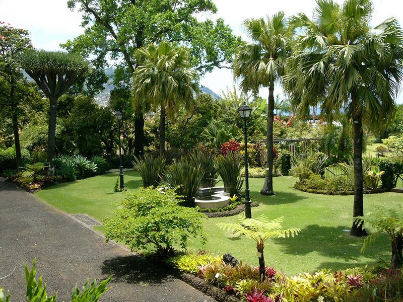 junior-suite-view