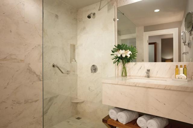 Dreams Dominicus La Romana 7 DLX (3)