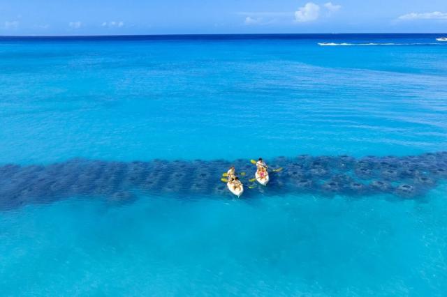 Sunscape Dominicus 1 (7)