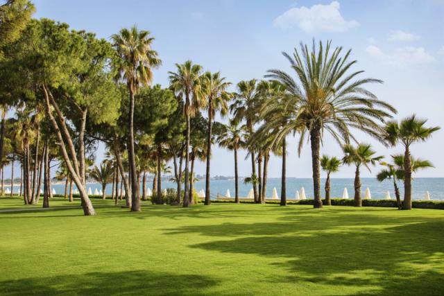 Acanthus Cennet Barut Collection Garden Area-3