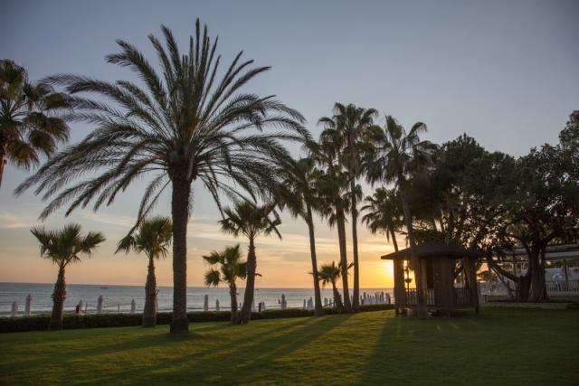 Acanthus Cennet Barut Collection Garden Area-10