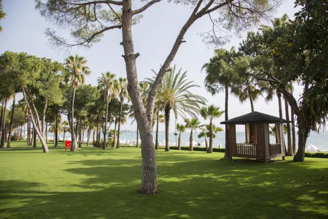 Acanthus Cennet Barut Collection Garden Area-12