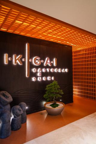 _CAG3823